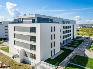 Prodej bytu 1+kk, Plzeň, Železná, 38 m2