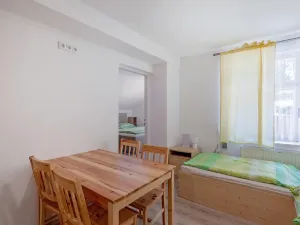 Prodej ubytování, Bartošovice v Orlických horách, 500 m2