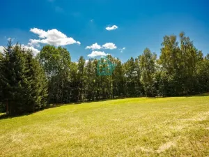 Prodej pozemku, Benešov nad Černou - Klení, 6805 m2