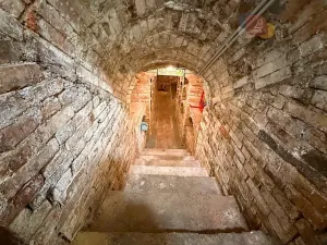 Prodej vinného sklepa, Mutěnice, Slovácká, 164 m2