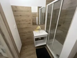 Prodej bytu 1+kk, Teplice, Bratislavská, 21 m2