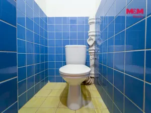 Pronájem bytu 3+1, Plzeň - Vnitřní Město, Zbrojnická, 121 m2