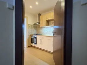 Pronájem bytu 1+kk, Plzeň - Doubravka, Masarykova, 35 m2