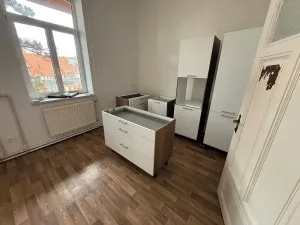 Pronájem bytu 3+1, Želešice, 158 m2
