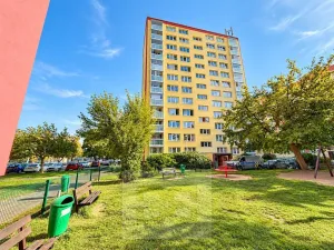 Pronájem bytu 2+1, Kolín, Čechovy sady, 67 m2