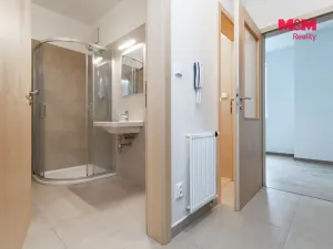 Pronájem bytu 1+kk, Plzeň - Litice, Vysoká, 38 m2