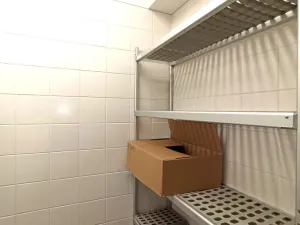 Prodej restaurace, Šternberk, Jívavská, 14 m2