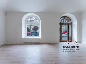 Pronájem obchodního prostoru, Praha - Karlín, Prvního pluku, 58 m2