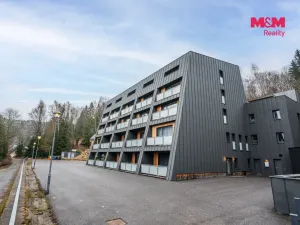 Pronájem bytu 1+kk, Janov nad Nisou, 25 m2