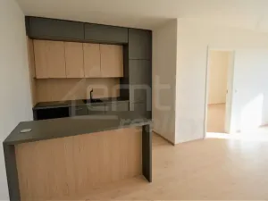 Pronájem bytu 2+kk, Praha, Davídkova, 60 m2