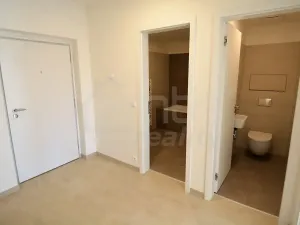 Pronájem bytu 2+kk, Praha, Davídkova, 60 m2