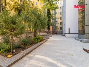 Pronájem bytu 1+1, Praha - Žižkov, Kubelíkova, 63 m2