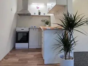 Prodej bytu 1+kk, Olomouc, Norská, 39 m2