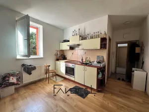Prodej bytu 1+1, Ostrava, Korunní, 51 m2