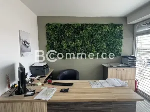 Pronájem obchodního prostoru, Pohořelice, 3700 m2