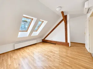 Pronájem bytu 2+kk, Praha - Nové Město, Mlynářská, 72 m2