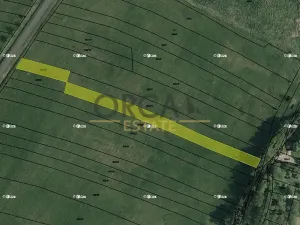 Prodej pole, Hrobice, 2279 m2