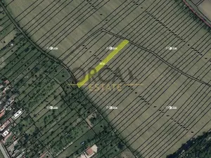 Prodej pole, Radějov, 1222 m2