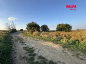 Prodej pole, Ořechov, 10404 m2