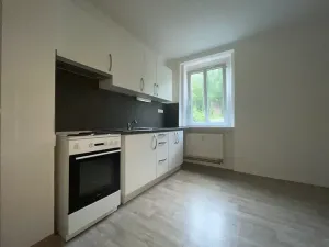 Pronájem bytu 2+1, Ústí nad Labem, Důlce, 56 m2