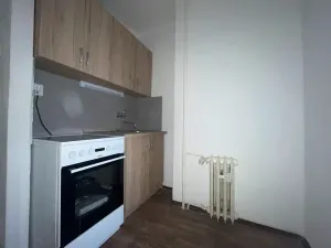 Pronájem bytu 1+kk, Ústí nad Labem, Bratislavská, 27 m2