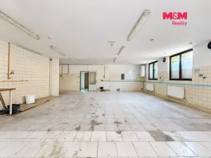Pronájem výrobních prostor, Neratovice, Mánesova, 235 m2