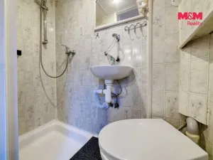 Pronájem bytu 1+1, Mariánské Lázně, Třebízského, 29 m2