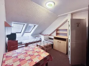 Pronájem bytu 1+kk, Mladá Boleslav, Dukelská, 25 m2