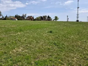 Prodej louky, Osek, 1013 m2