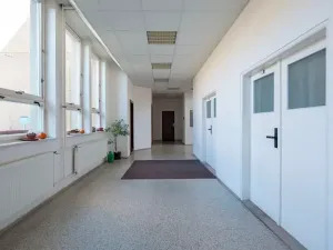 Prodej výrobních prostor, Koryčany, Masarykova, 52235 m2