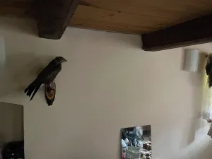 Prodej rodinného domu, Mladkov, 63 m2