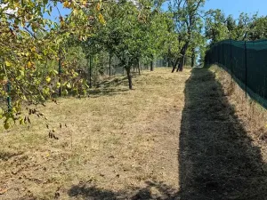 Prodej zahrady, Brno, 319 m2