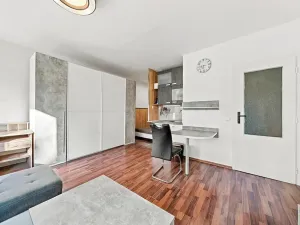 Prodej bytu 1+kk, Ústí nad Labem, Vinařská, 32 m2