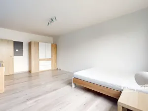 Pronájem bytu 2+1, Ústí nad Labem - Všebořice, 17. listopadu, 66 m2