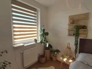 Pronájem bytu 1+kk, Plzeň - Jižní Předměstí, Inženýrská, 50 m2