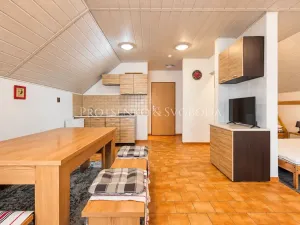 Prodej ubytování, Strachotín, Sklepní, 285 m2