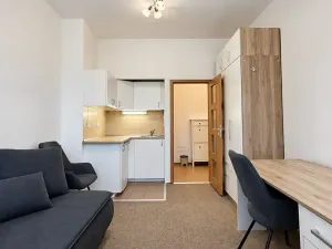 Pronájem bytu 1+kk, Brno, Tučkova, 21 m2