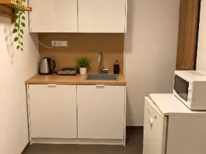 Prodej bytu 1+kk, Brno, Letní, 20 m2