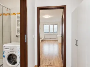 Prodej bytu 1+kk, Praha - Vysočany, Freyova, 33 m2