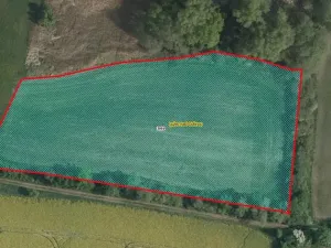 Prodej pole, Lužec nad Cidlinou, 10239 m2