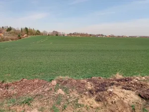 Prodej pozemku pro bydlení, Chlumec nad Cidlinou, 20781 m2