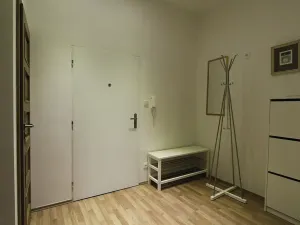 Pronájem bytu 2+kk, Praha - Žižkov, Zelenky-Hajského, 40 m2