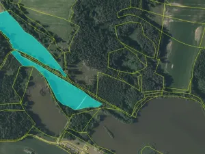 Prodej louky, Jindřichův Hradec - Dolní Radouň, 40751 m2