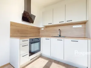 Pronájem bytu 1+1, Ústí nad Labem - Severní Terasa, Kmochova, 33 m2