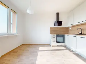 Pronájem bytu 1+1, Ústí nad Labem - Severní Terasa, Kmochova, 33 m2
