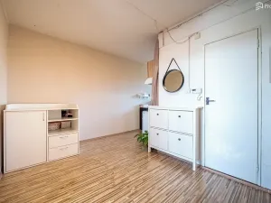 Prodej bytu 2+1, Blížkovice, 55 m2