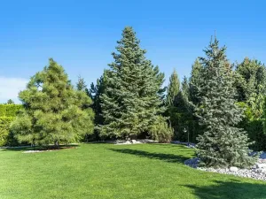 Pronájem kanceláře, Velké Přítočno, 350 m2