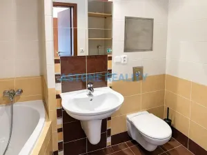 Pronájem bytu 2+kk, Praha - Smíchov, Štorkánova, 55 m2