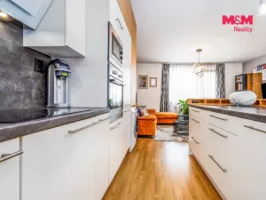 Prodej bytu 3+kk, Praha - Čakovice, Theinova, 91 m2