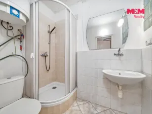 Prodej bytu 2+1, Dolní Čermná, 66 m2